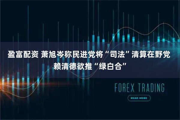 盈富配资 萧旭岑称民进党将“司法”清算在野党 赖清德欲推“绿白合”