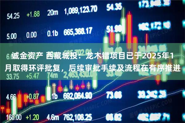 诚金资产 西藏城投：龙木错项目已于2025年1月取得环评批复，后续审批手续及流程在有序推进