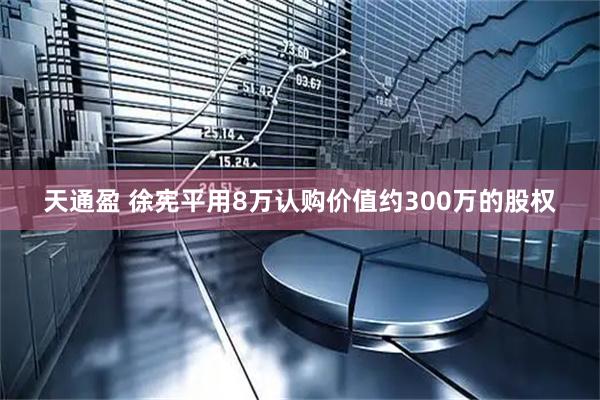 天通盈 徐宪平用8万认购价值约300万的股权