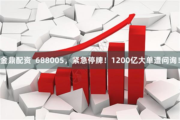 金鼎配资  688005，紧急停牌！1200亿大单遭问询！