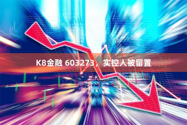 K8金融 603273，实控人被留置