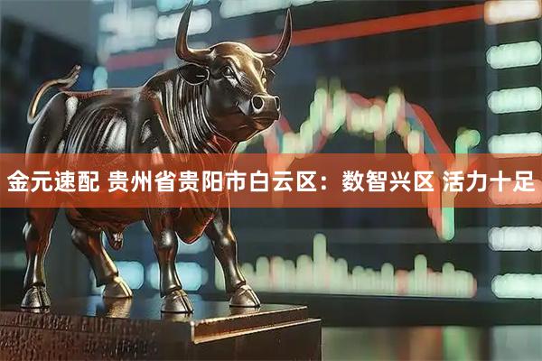 金元速配 贵州省贵阳市白云区：数智兴区 活力十足