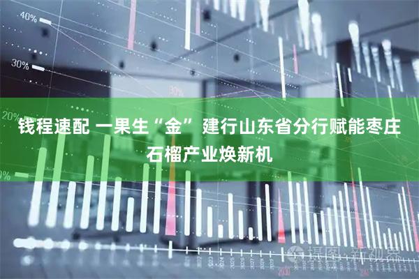 钱程速配 一果生“金” 建行山东省分行赋能枣庄石榴产业焕新机